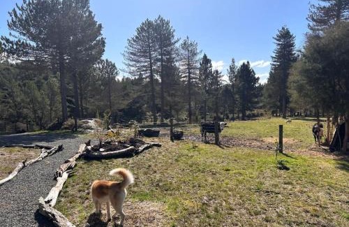 Golden Bay House | Cozy Ruru Tiny House: Family-Friendly Escape Awaits