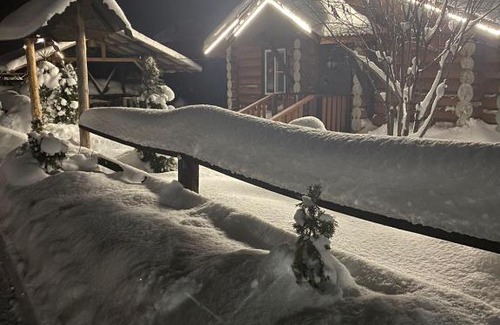 Zimogorye House | Experience Russkaya Usadba: Pet Friendly with Hot Tub