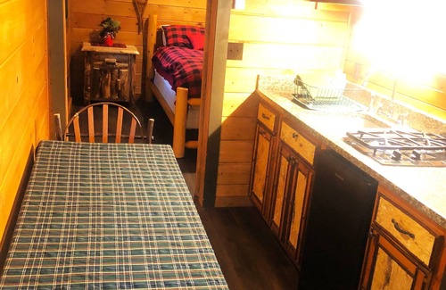 Lake Clear Cabin | Rustic Adirondack Cabin steps away from New Rail Trail & Lake Clear
