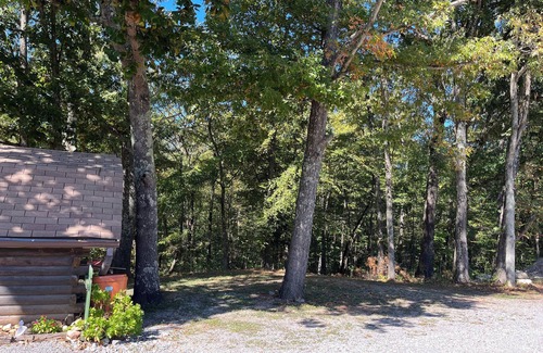 Aurora Cabin | Cozy Rustic Bee Cabin - Pet Friendly with Breakfast Included