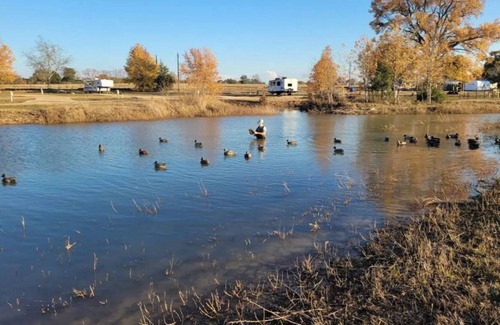 Winnsboro RV Rental | Cozy Bunk House: Pet & Child Friendly Retreat