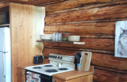 Condon Cabin | Cozy Cabin Retreat Surrounded by Majestic Pines
