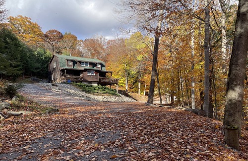 Lake Luzerne Cabin | Pet-Friendly Rustic Cabin at Smith Mtn House, Lake Luzerne