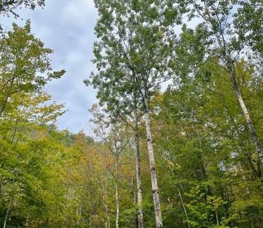 Stoneham House | Cozy Cabin Retreat in Maine Woods - The Beech