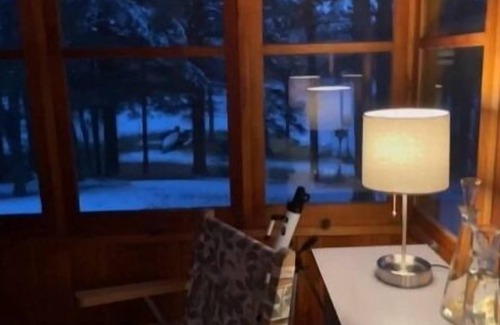 Bigfork Cabin | Tranquil Lakeview Cabin Surrounded by Serene Woodlands