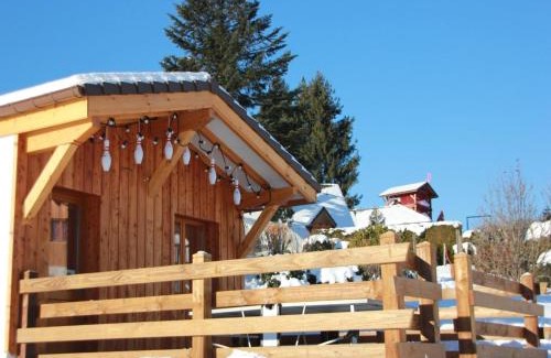 Le Thillot Ski Chalet | Cozy Chalet Retreat in the High Vosges with Pool & Pets
