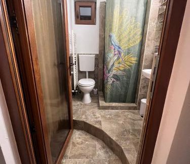 Baia Mare Apartment | Rustic House: Child-Friendly Retreat with Perfect Reviews