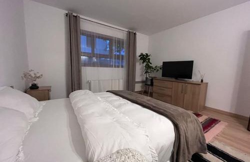 Baia Mare Apartment | Rustic House: Child-Friendly Retreat with Perfect Reviews