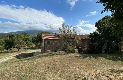 Arcidosso House | Rustic Retreat Amidst a Centuries-Old Chestnut Grove