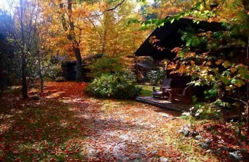 Lisbon Cabin | Charming Rustic Log Cabin with Ocean View and Pet-Friendly
