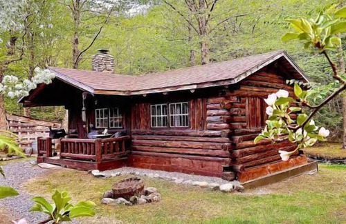 Lisbon House | Rustic Log Cabin #5 - Ocean View Retreat Awaits You