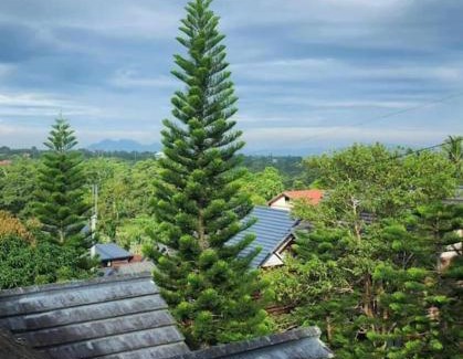 Tagaytay House | Cozy Log Cabin Retreat in Tagaytay Awaits You