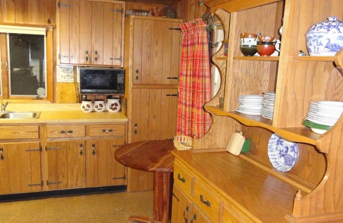 Cranberry Lake Cabin | Cozy Adirondack Cabin with Lake View & Inviting Amenities!