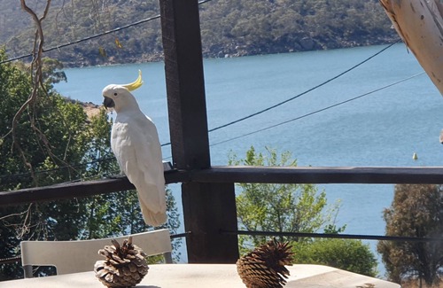 Jindabyne House | Scenic Ski Chalet with Lake Views and Family-Friendly Amenities