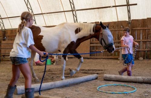 Adelaide Metcalfe Apartment | Rustic Stay on our Alpaca Farm, close to Grand Bend!