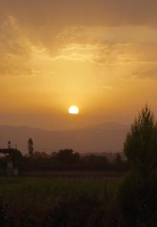 Sakës House | Cozy Rustic Tale Guesthouse: Pet & Child Friendly Retreat