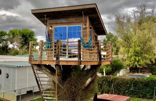Montrose House | Unique Tree House Retreat in the Heart of the City