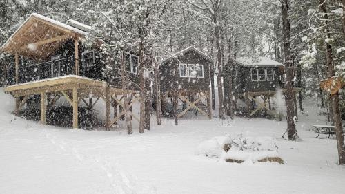 Elba House | Rustic Tree House with Woodland Valley Views in Elba, Minnesota