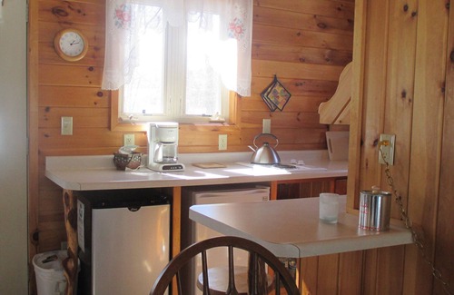 Finlayson Cabin | Cozy Tree Lodge with Fireplace, Lake Views & Family Amenities