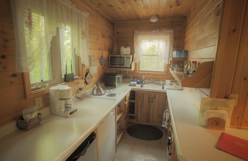 Finlayson Cabin | Cozy Tree Lodge with Fireplace, Lake Views & Family Amenities