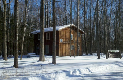 Finlayson Cabin | Cozy Tree Lodge with Fireplace, Lake Views & Family Amenities