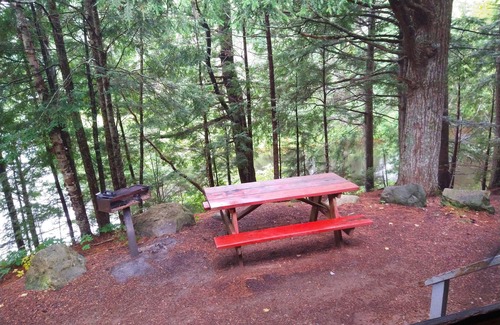 Dennysville Cottage | Rustic Log Cottage with River Views & Pet-Friendly Amenities