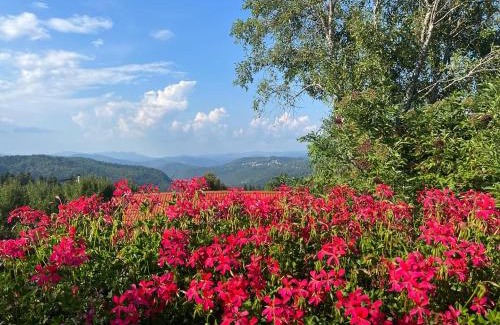 Kupjak Villa | Idyllic Villa Roza with Outdoor Pool in Kupjak