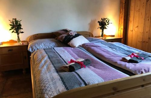Nova Pec Apartment | Discover the Rustic Retreat in Sumava National Park