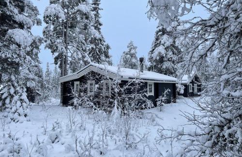 Stoten House | Charming Timber Cabin Near Tandådalens Activities