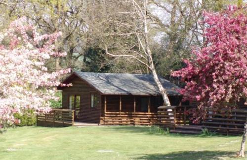 St Wenn Resort | Kid-Friendly Ruthern Valley Holidays with Top Guest Ratings