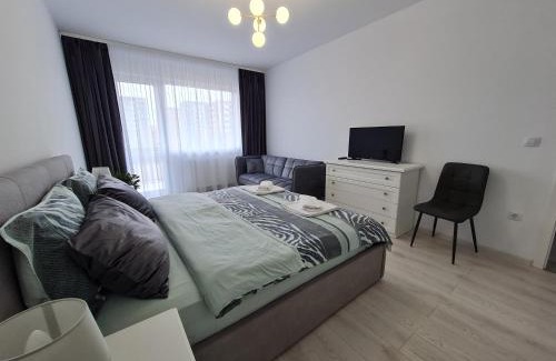 Tractorul Apartment | Guest Rated 10/10: Rya's Cozy Studio for Families