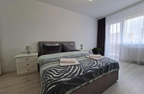 Tractorul Apartment | Guest Rated 10/10: Rya's Cozy Studio for Families