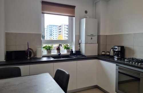 Tractorul Apartment | Guest Rated 10/10: Rya's Cozy Studio for Families