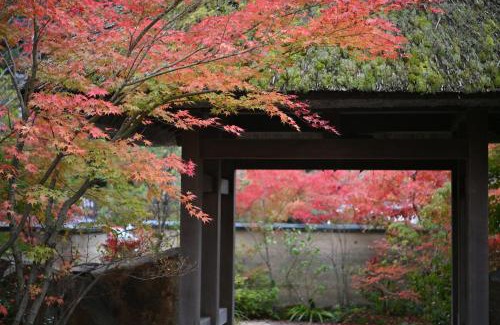 Yunohana Hotel | Relax at Ryokan Sumiya Kihoan: 4-Star Oceanfront Getaway