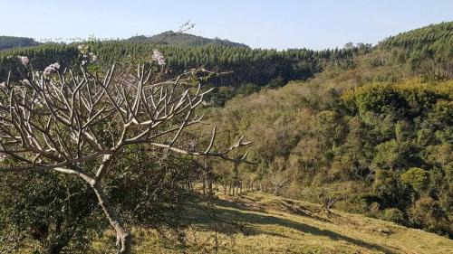 Amparo House | Perfect Getaway at Sítio Alvorada - Pet Friendly Oasis