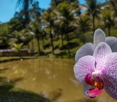 Cachoeiras de Macacu House | Relax at Sítio Bosque das Palmeiras: Pet-Friendly Retreat