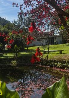 Domingos Martins House | Pet-Friendly Retreat at Sítio - casa de campo, Rated 10/10