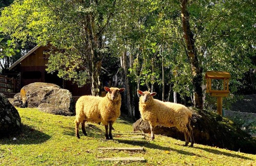 Palhoca House | Discover Sítio do Alto: Family-Friendly Retreat with Amenities