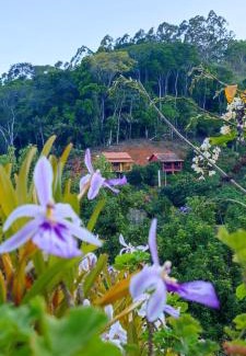 Domingos Martins Hotel | Discover Sítio e Pousada Vista Verde: Rated 10/10 with Pool