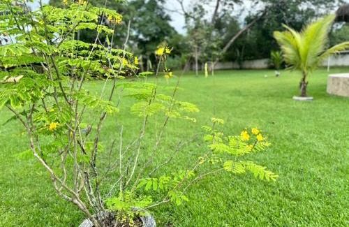 Guapimirim House | Enchanting Sítio Em Guapimirim: Pet-Friendly Retreat