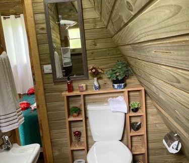 Sao Bento do Sapucai Ski Chalet | Pet-Friendly Retreat at Sítio Flor da Montanha
