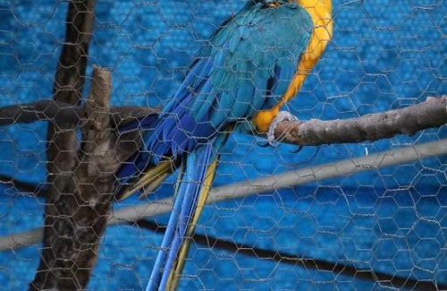Guaramiranga House | Pet Friendly Getaway at Sítio Recanto da Botija