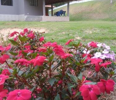 Domingos Martins House | Pet-Friendly Retreat at Sítio Recanto do Ipê - 9.7/10 Rating