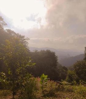 Domingos Martins House | Pet-Friendly Retreat at Sítio Recanto do Ipê - 9.7/10 Rating