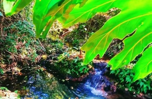 Murutinga do Sul House | Discover Sítio Santo Reis: Family-Friendly Retreat Awaits