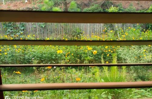 Soc Son Cabin | Cozy Sóc Sơn Homestay - Bird House with Pool & Pet Friendly