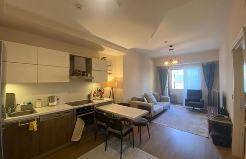Gaziosmanpasa Apartment | Experience Söz Bir Reluxe Revis: Pet-Friendly Comfort Awaits