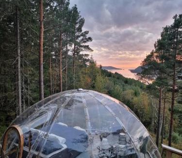 Indre Fosen Other | Unforgettable Stay at Sørfjorden Eye Iglo - Family-Friendly Retreat