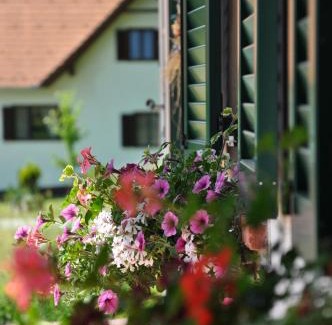 Loipersdorf bei Fuerstenfeld House | Experience Oceanfront Bliss at s' Kellerstöckl Hotel