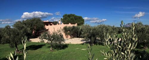 Dorgali House | Pet-Friendly Retreat at S'Ulumu with High Guest Ratings